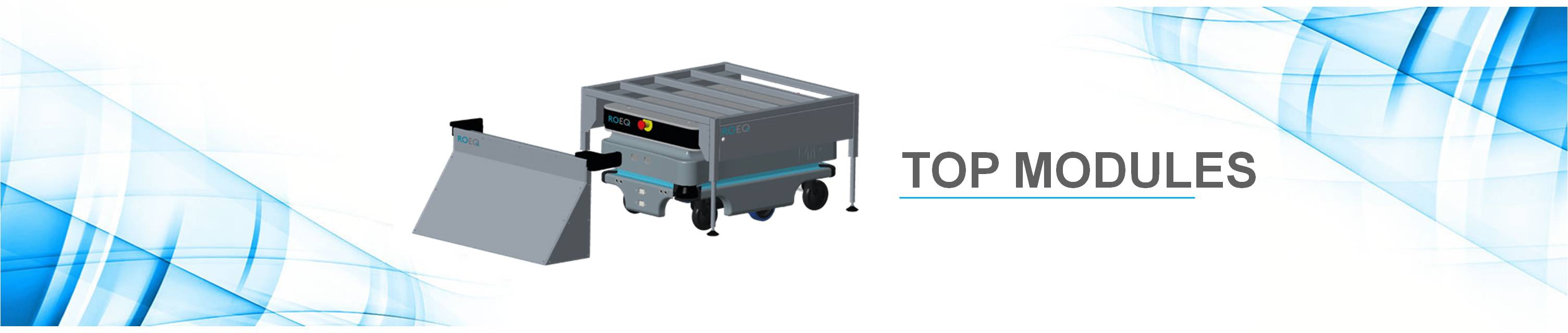 roeq-top-modules